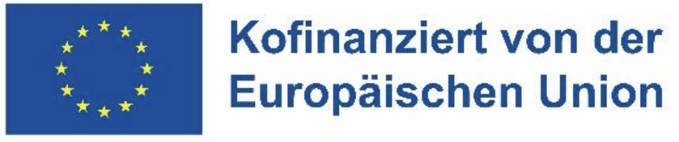 Co-funded by the European Union